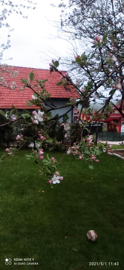 Ravne Apartman Visoko Dış mekan fotoğraf